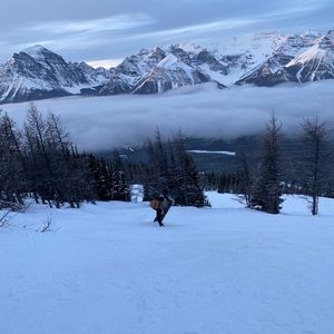 Meet your Posher, Brody